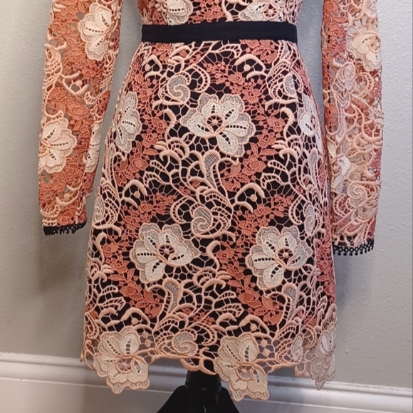 TALULAH La Maison The Passion Lace Mini Dress - Picture 6 of 15